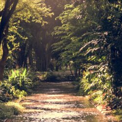 Stadtnaturführung – Wildkräuterspaziergang 22. August