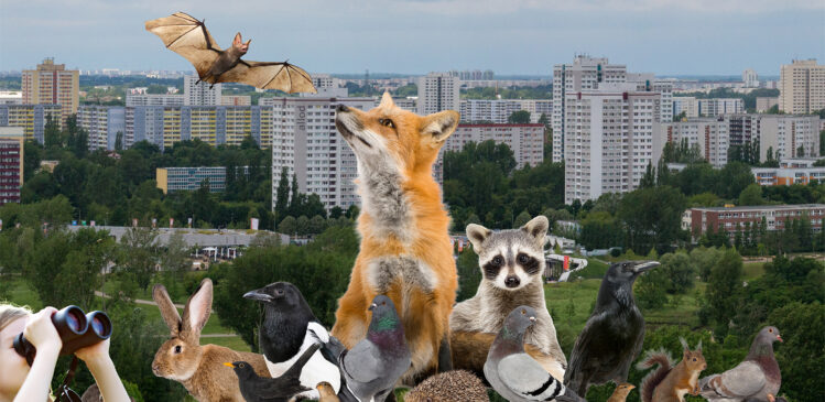 Stadtnaturführung – Großstadtsafari 18. April